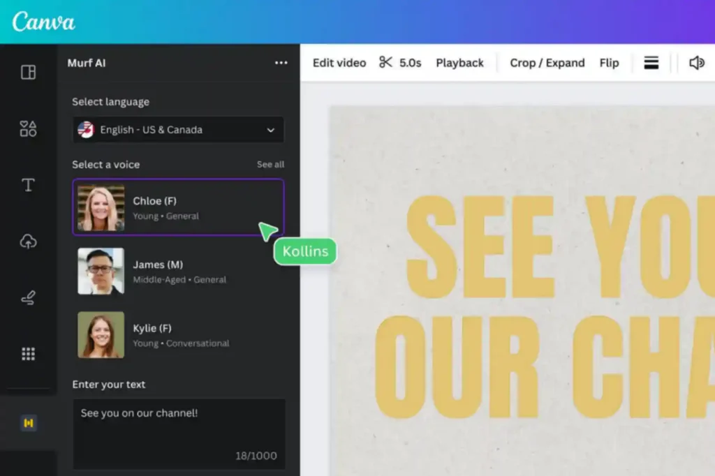 Ai Voice Generators features
