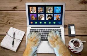 Automated Video Solutions